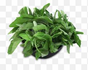 Baby Spinach 150g - Houseplant Png,Spinach Png