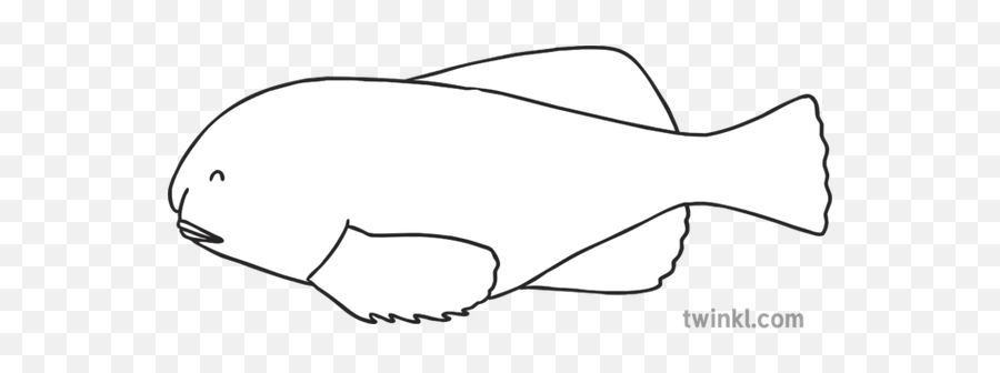 Blobfish Black And White Illustration - Blobfish Black And White Drawing Png,Blobfish Png