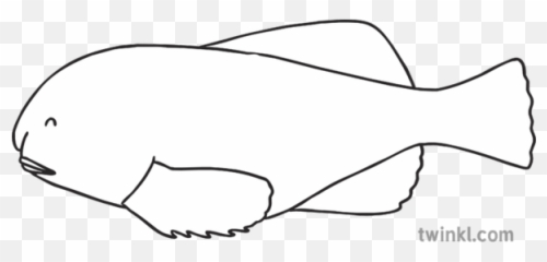 Blobfish Black And White Illustration - Blobfish Black And White Drawing Png,Blobfish Png