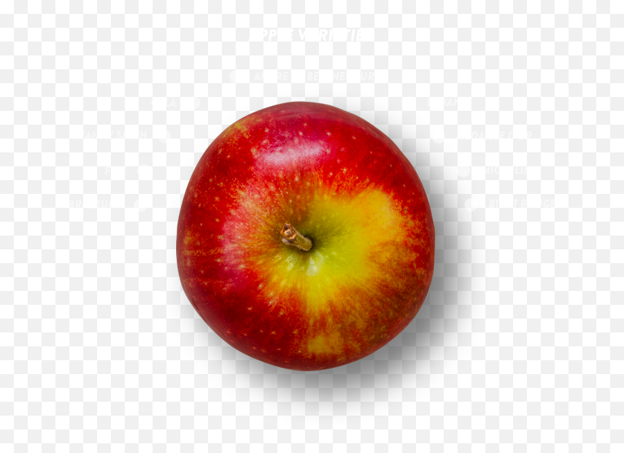 Crisp - Mcintosh Png,Angry Orchard Logo