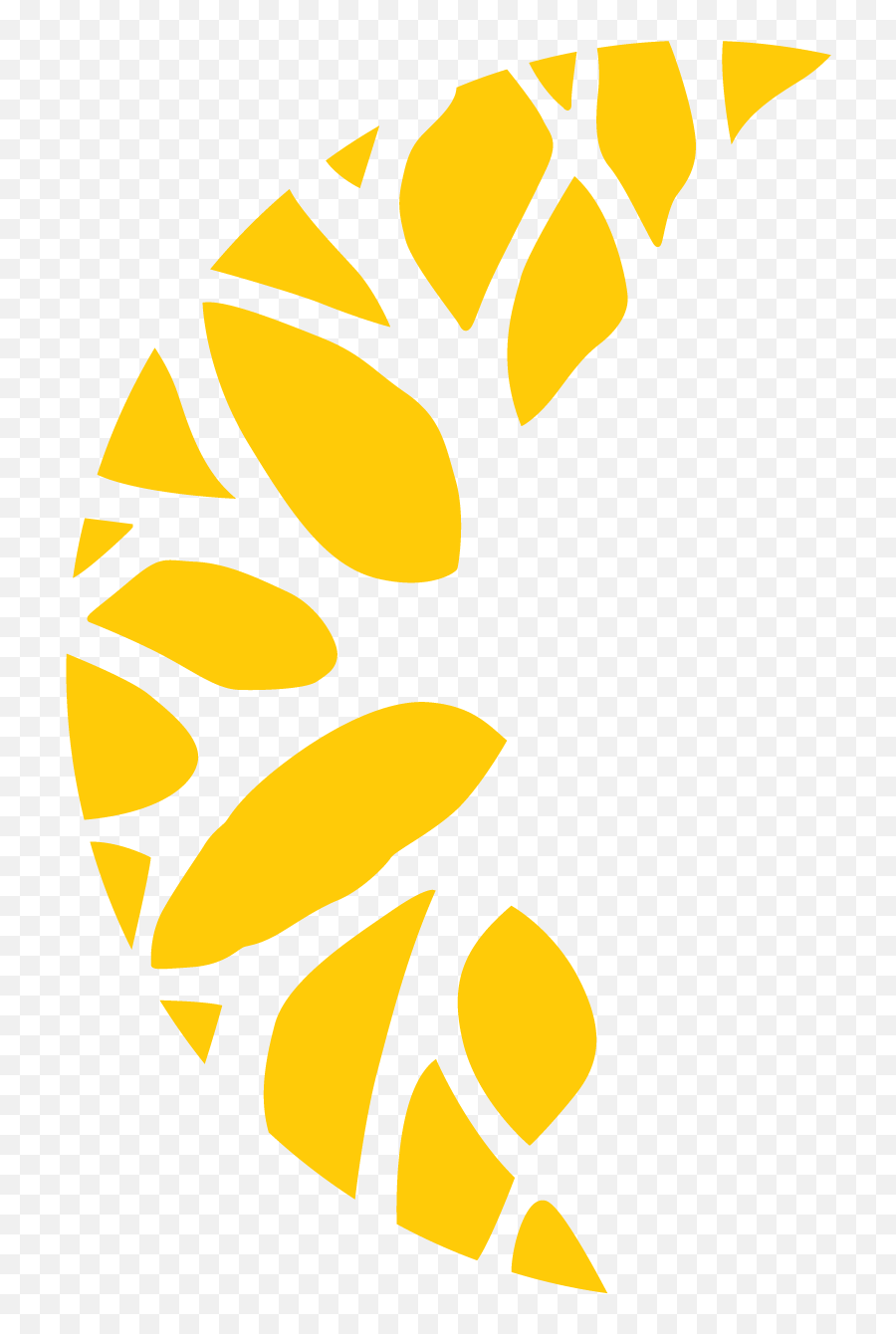 Fti Fresh International Fruit - Clip Art Png,Fruit Logo
