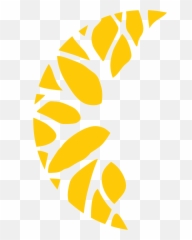 Fti Fresh International Fruit - Clip Art Png,Fruit Logo