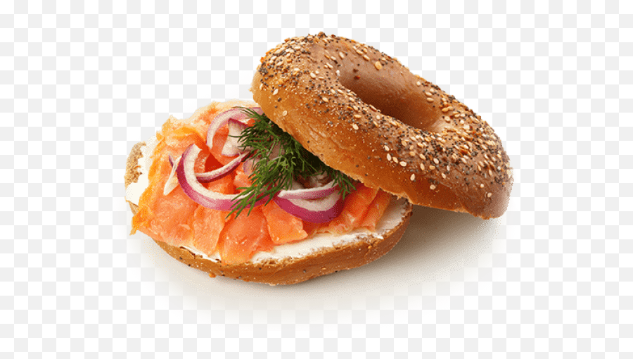 Fanagle The Bagel - Bagel Deli 444 Ocean Blvd Long Branch Bagel And Lox Png,Bagel Transparent