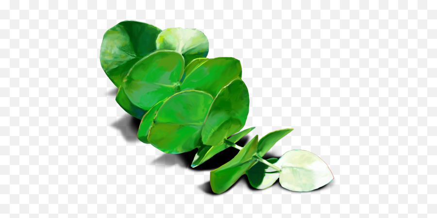 Oobites - Eucalyptus Leaves Transparent Png Full Size Png,Eucalyptus Png