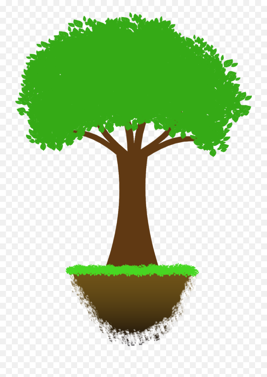 Tree Drawing - Oak Png,Tree Drawing Png
