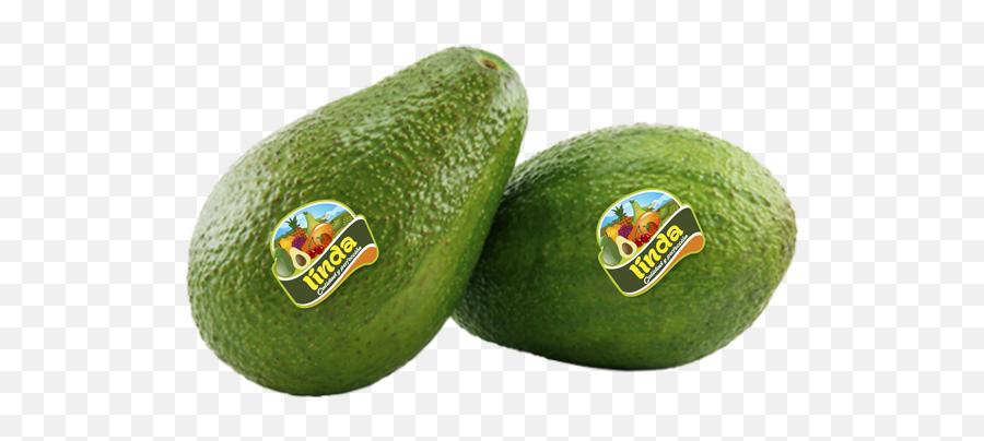Avocado U2013 Linda Fresh Fruit - Hass Avocado Png,Aguacate Png