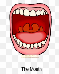 Mouth Free Clipart The Cliparts Transparent Png - Mouth Mouth Clipart,Digestive System Png