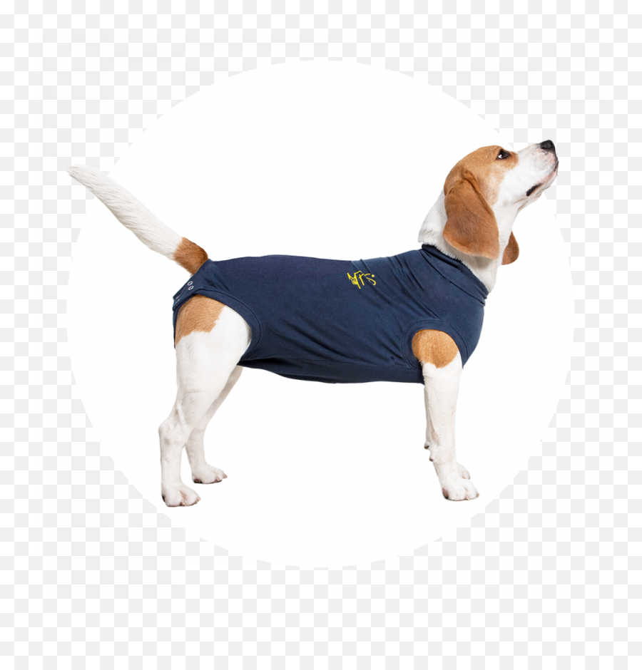 Mps - Medical Pet Shirt Dog Medical Pet Shirts Romper Hond Na Operatie Png,Icon Dogwear