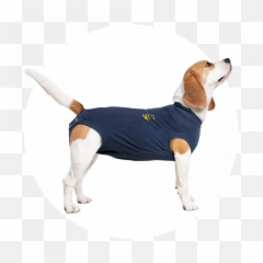 Mps - MEDICAL PET SHIRT DOG Medical Pet Shirts Romper Hond Na Operatie png