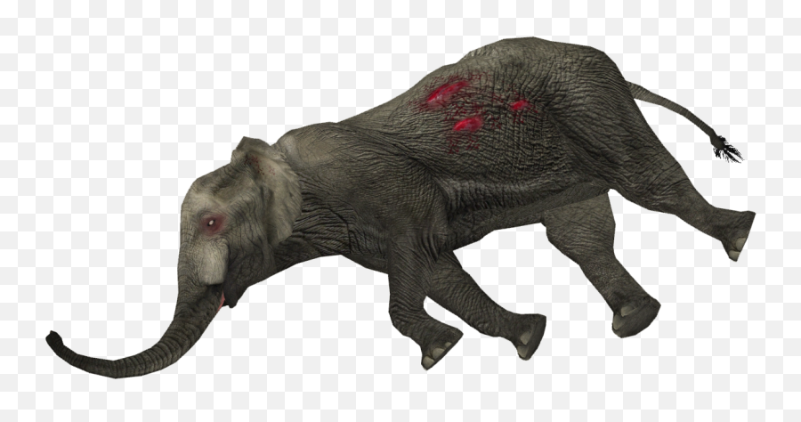 Dead Animal Png Transparent Animalpng Images Pluspng - Dead Animals Png,Elephant Png