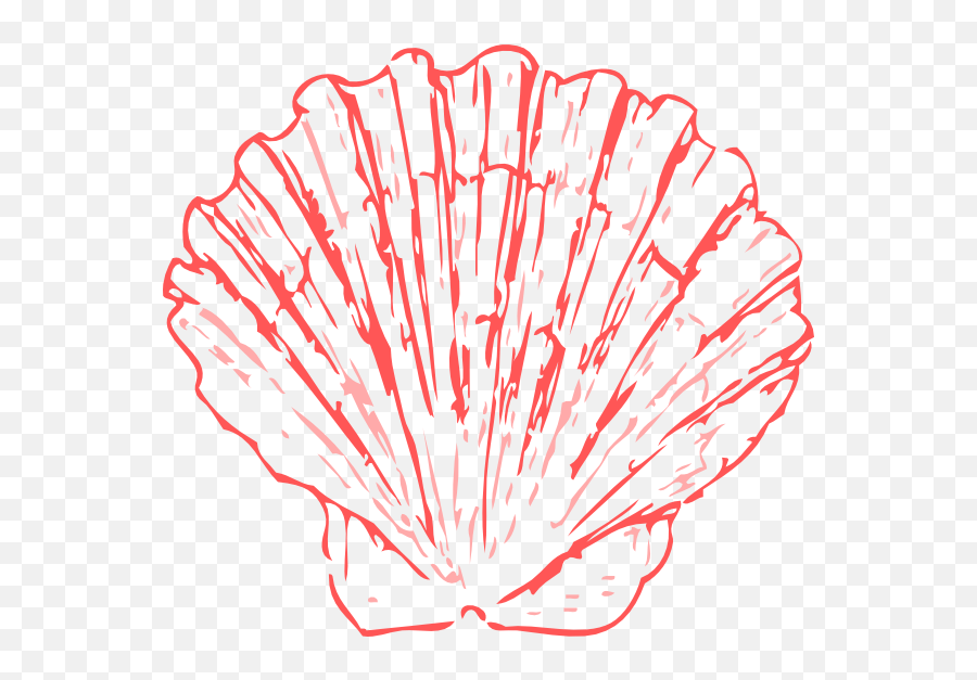 Sea Coral Png Picture 554058 Shells Clipart Orange - Blue Seashell Png,Coral Png