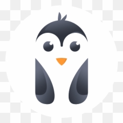 How To Enrol In Andronix Beta - Linux On Android png
