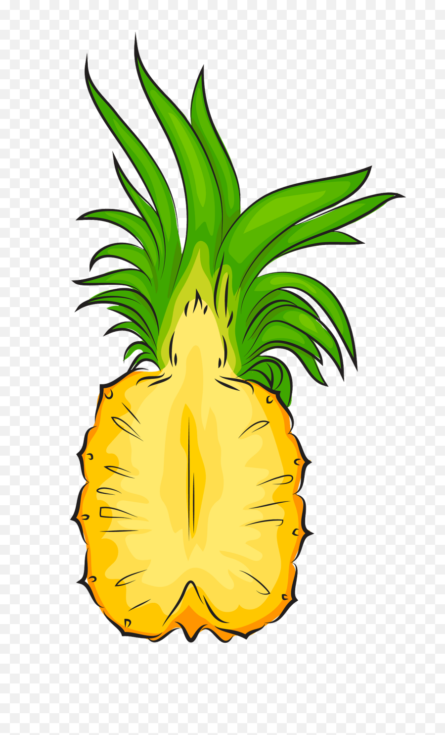 Pineapple Cut In Half Clipart Free Download Creazilla - Pineapple Cut In Half Png,Pineapple Clipart Png