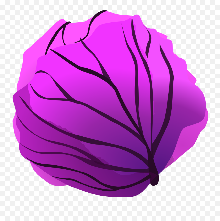 Red Cabbage - Red Cabbage Clipart Png,Cabbage Transparent