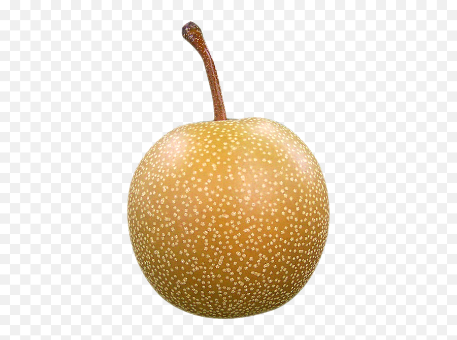 Asian Pear Png Image - Asian Pear Png,Pear Png