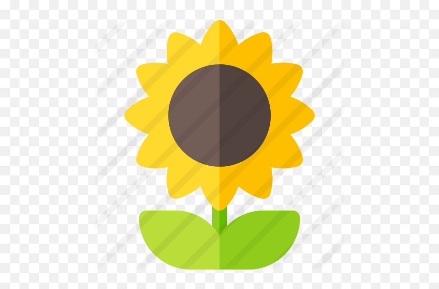 Sunflower - Free Nature Icons Sunflower Png,Sunflower Logo