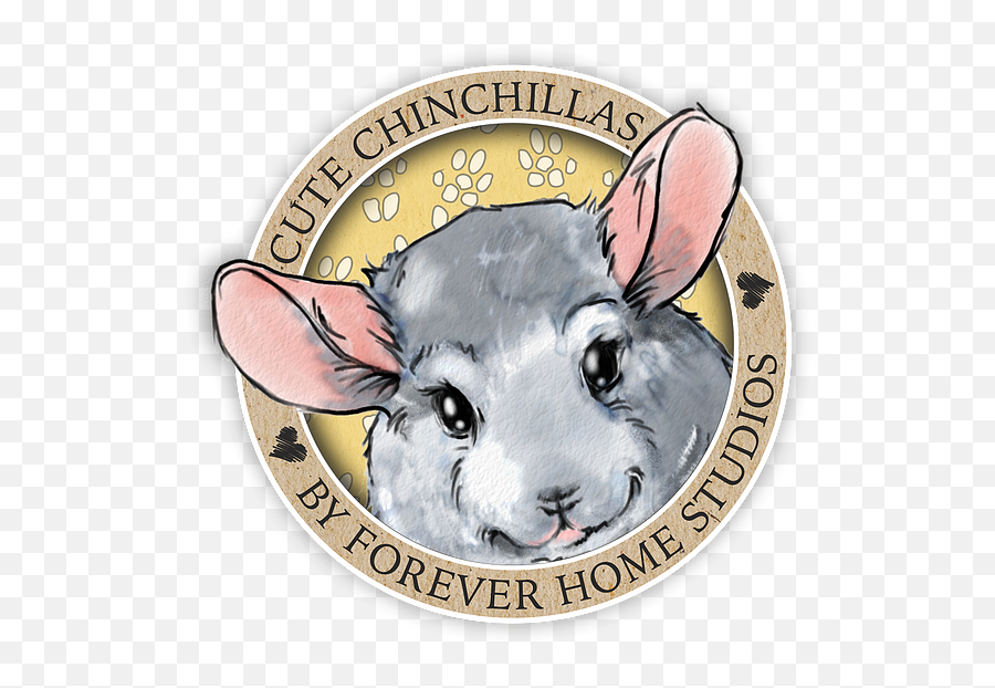 Forever Home Studios Chinchilla Figurines - Coin Png,Chinchilla Png