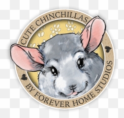 Forever Home Studios Chinchilla Figurines - Coin Png,Chinchilla Png