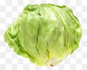 Romaine Lettuce Vegetable Greens Bargli - Iceberg Transparent Background png