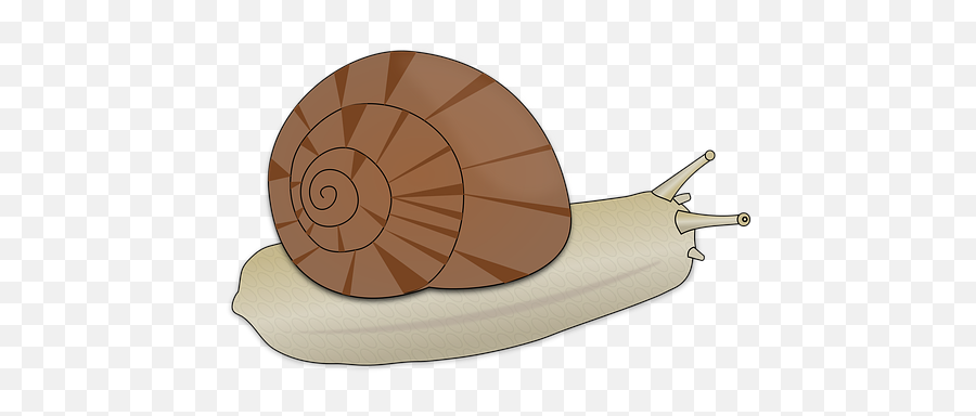 Free Slow Snail Vectors - Slimák Png,Snail Transparent