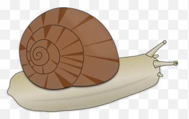 Free Slow Snail Vectors - Slimák Png,Snail Transparent