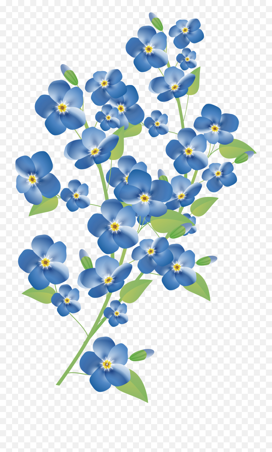 Forget Me Not Png Pic - Forget Me Not Flower Png,Forget Me Not Png