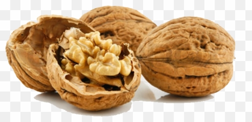 Walnut Png Image - Akhrot Png,Walnut Png