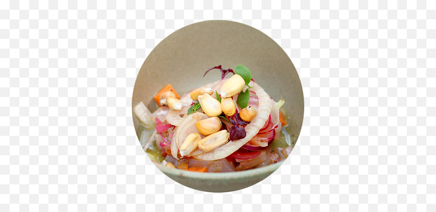 Index Of - Salad Png,Ceviche Png