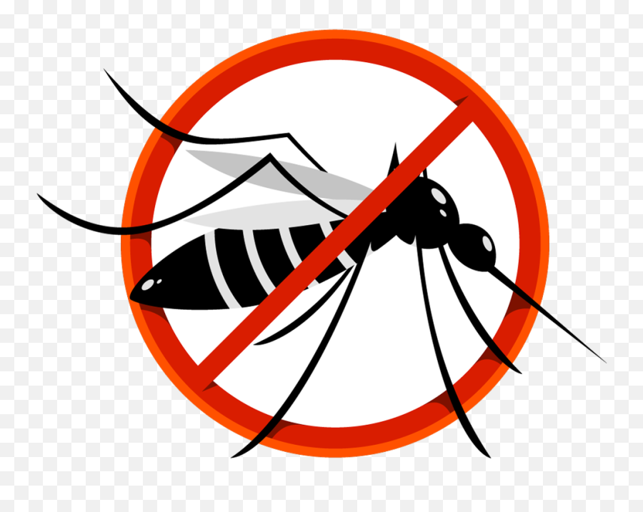 How Safe Are Mosquito Repellents For My Child Nathani Clinic - Dengue Fever Png,Mosquito Png