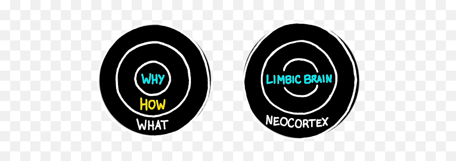 Inspiration The Why Syndicate - Circle Png,Golden Circle Png