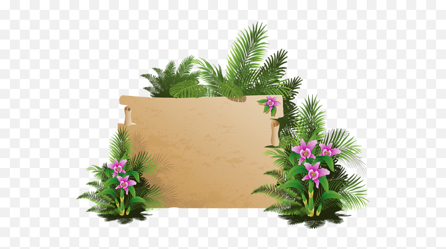 Summer Exotic Board Png Clipart - Exotic Board Png,Board Png