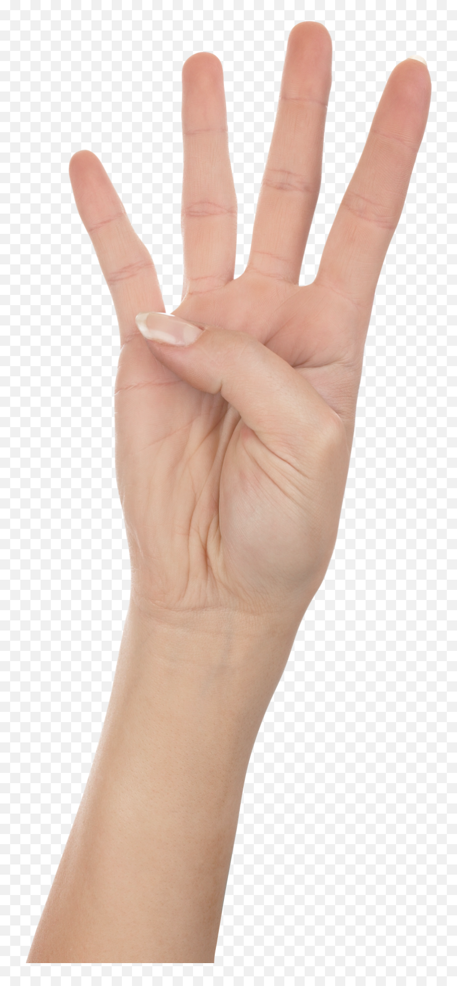 Four Finger Hand Png Image - Fingers Transparent Background,Finger Transparent