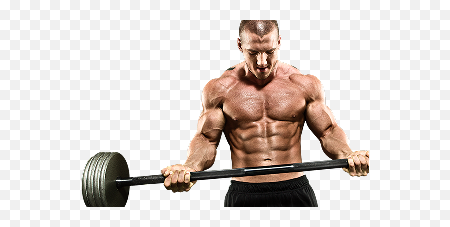 Download Bodybuilding Png - Full Size Png,Body Builder Png