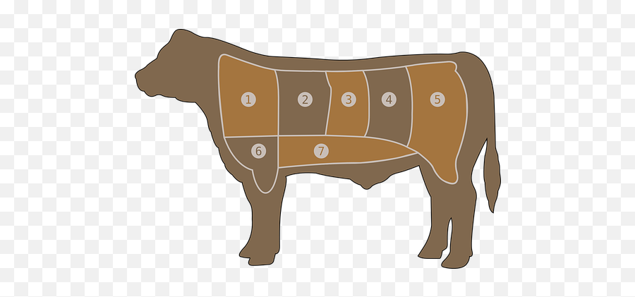 A Steak In Your Future - Denviro Medium Beef Chart Png,Steak Transparent