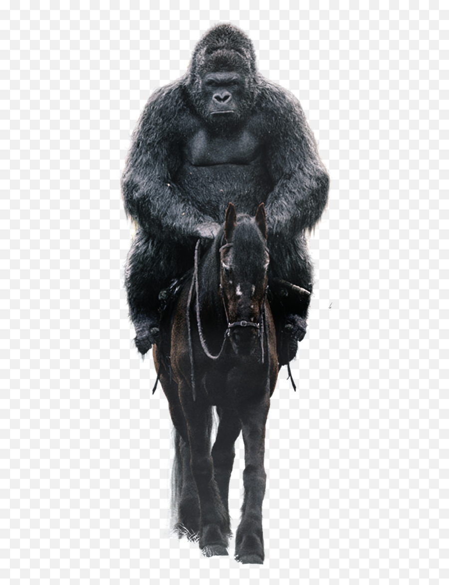 War For The Planet Of Apes Png U0026 Free - Halter,Ape Png