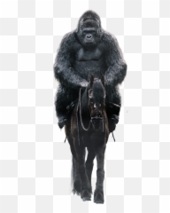 War For The Planet Of Apes Png U0026 Free - Halter,Ape Png
