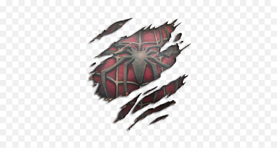 Free Spiderman Slice Tattoo Psd Vector - Ripped Skin Spiderman Tattoo Png,Spiderman Logo Tattoo