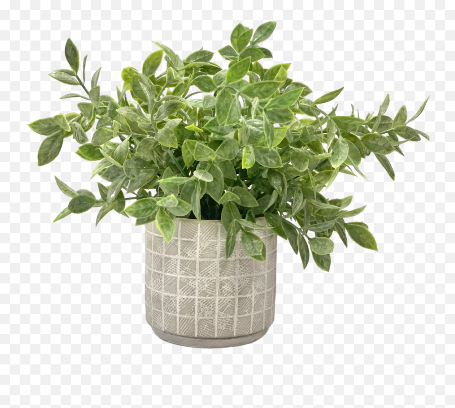 Faux Potted Plant Png