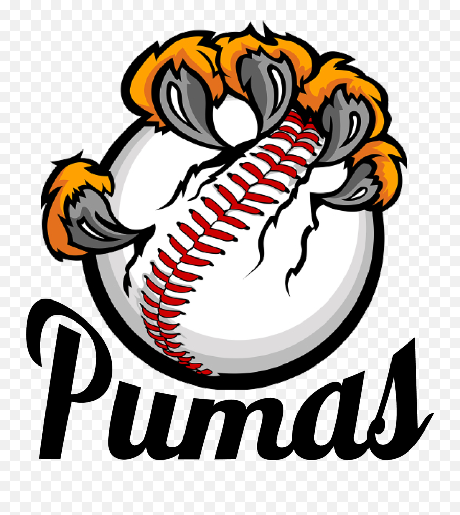 Logo Tigres De Chinandega Clipart - Bear Baseball Png,Tigres Logo