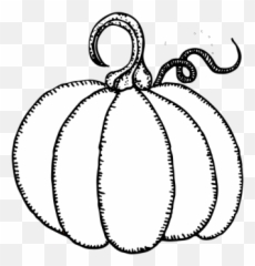 Thanksgiving Pumpkin Png Transparent Image Svg Clip Art - Art