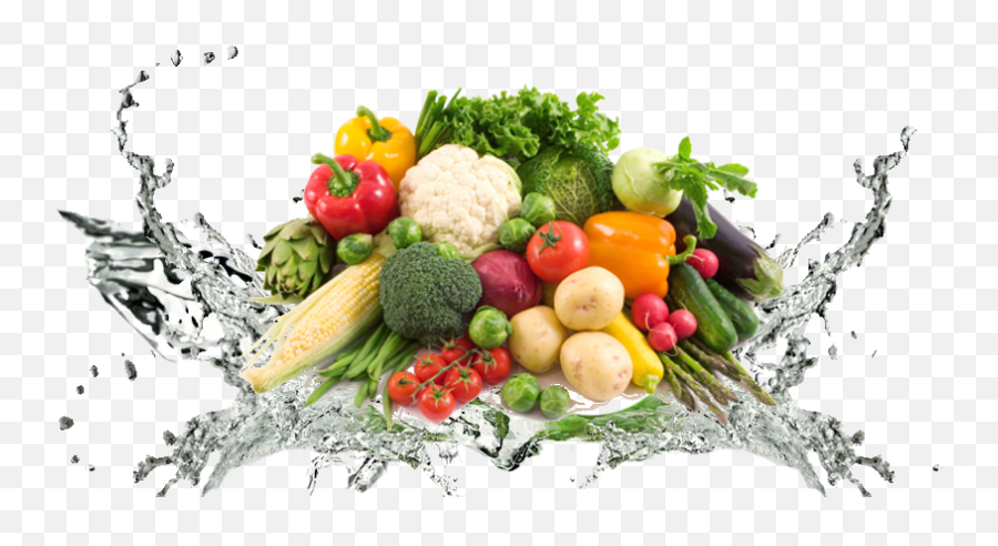 Vegetable Transparent Background - Healthy Food Transparent Background Png,Vegetables Transparent Background