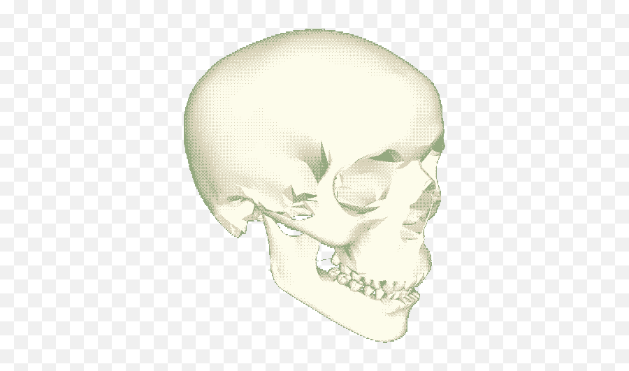 Spinning Skull Gif 10 Images Download - Facegen Png,Skeleton Gif Transparent