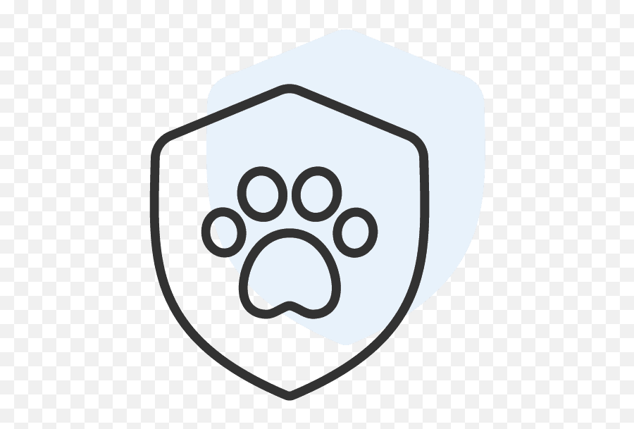 Mission Shelter Animals Count - Dot Png,Standardization Icon