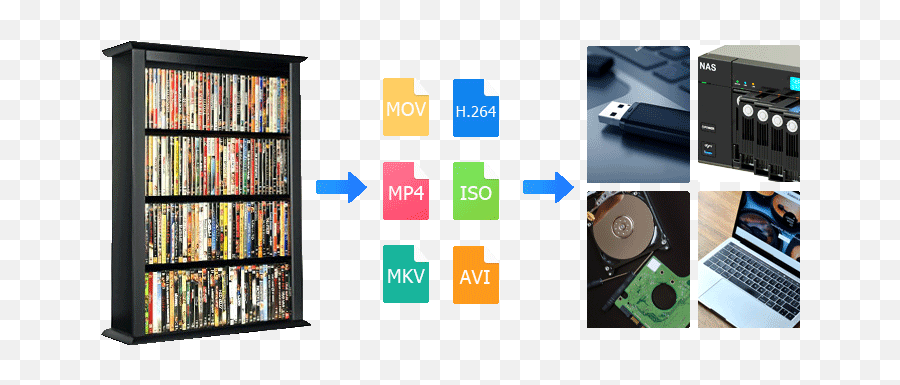 How To Turn Physical Dvds Into 11 Digital Copies In Clicks - Bookcase Png,Dvd Combo Icon