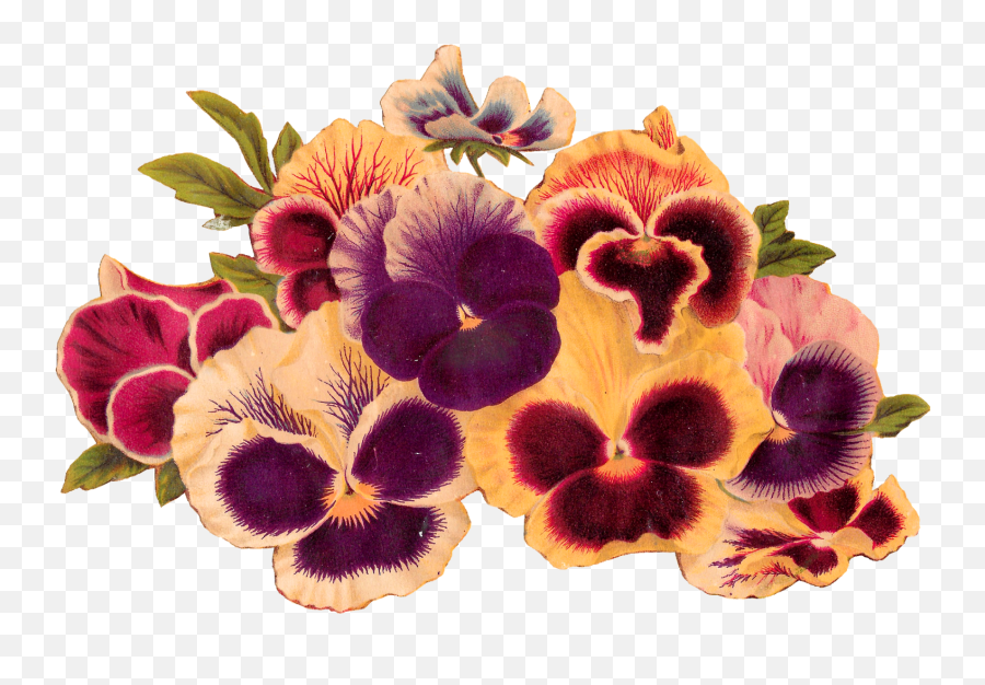 Antique Images Royalty Free Pansy Clip Art Image Download - Clip Art Png,Flower Garden Png