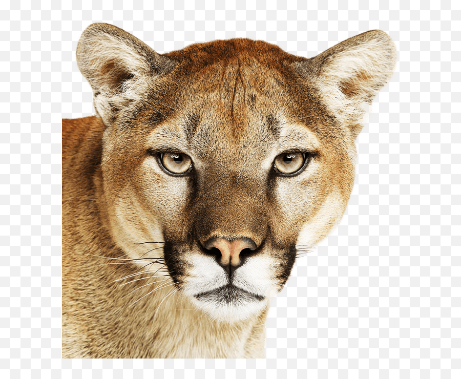 Os X Mountain Lion Icon Png Image With - Mac Os X Mountain Lion,Lions Icon