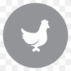 Thumbs Up Down Icon - Circle png