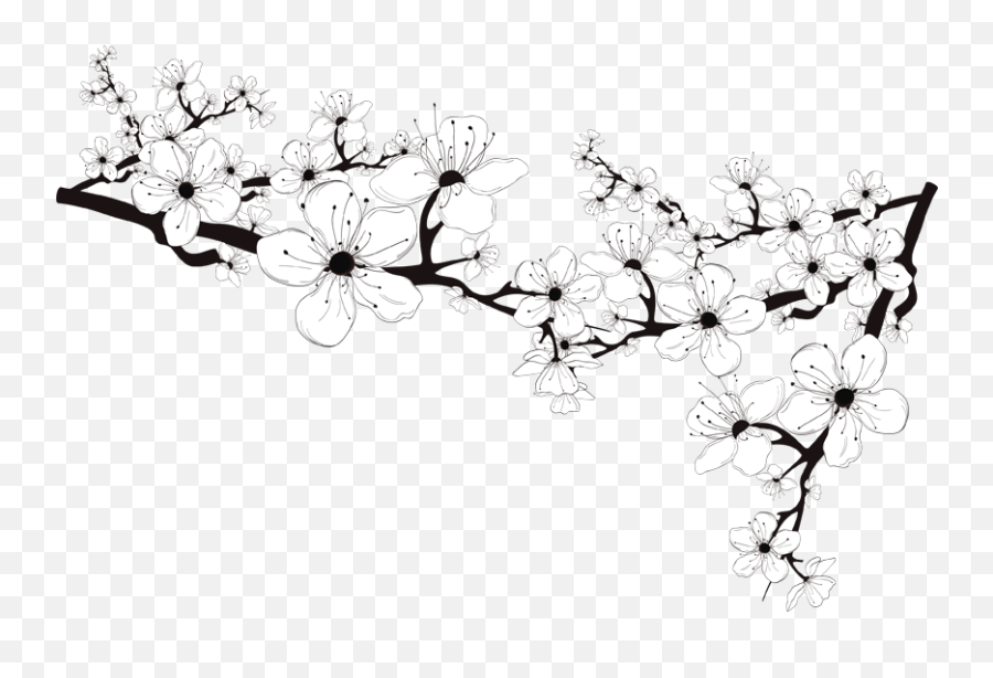 Black And White Flower Png Image - Black And White Blossom Png,Black And White Flower Png