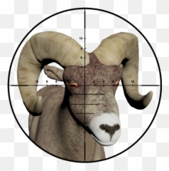 Sniper Hunting - 3D Shooter APK 210 Download latest Bighorn Sheep png