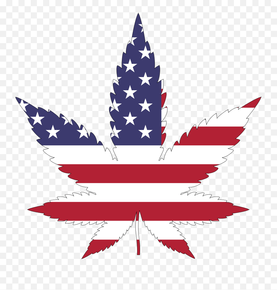 How To Face Upcoming Probing Questions About Marijuana - Marijuana Leaf American Flag Png,Weed Transparent Background